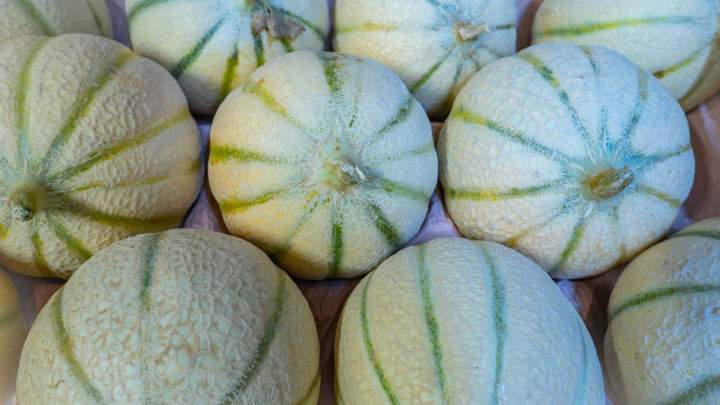 Fruits La Rochette