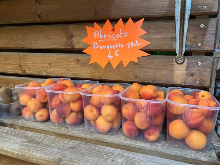 Vente d'abricots La Rochette
